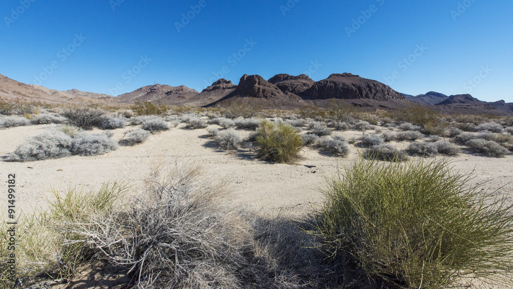 Mojave Desert