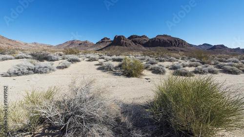 Obraz na płótnie Mojave Desert w salonie