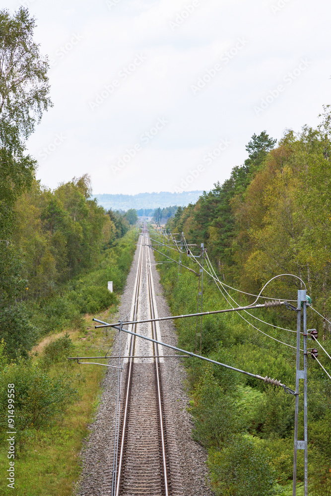 Railway straight through the woods