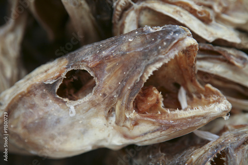 Stockfisch auf den Lofoten © Lunghammer