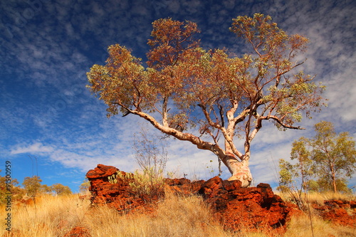 Australian outback photo