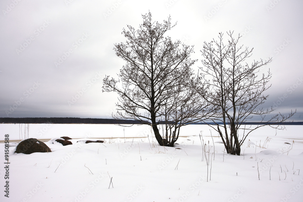 Fototapeta premium Finsky gulf of the Baltic sea in winter