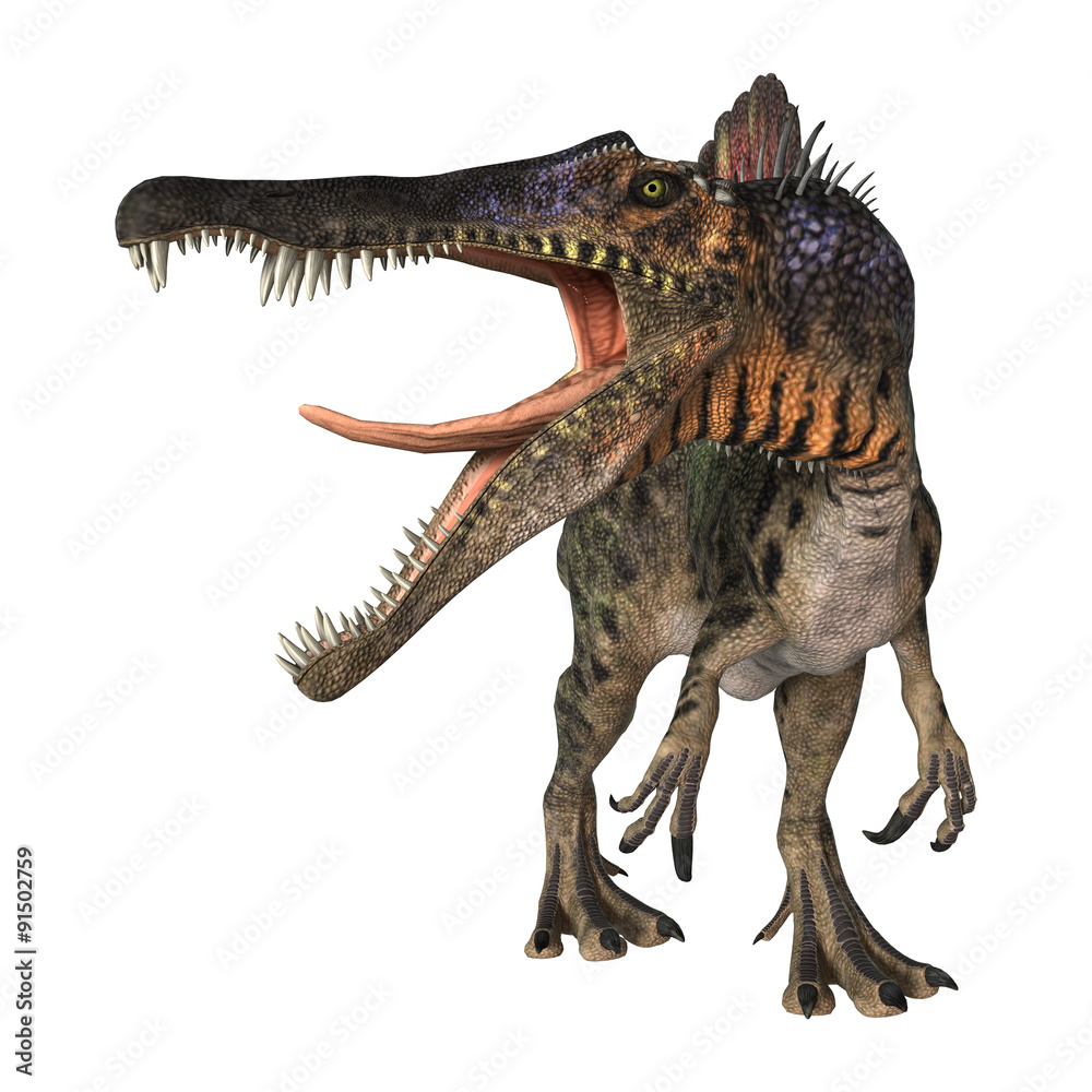 Fototapeta premium Dinosaur Spinosaurus