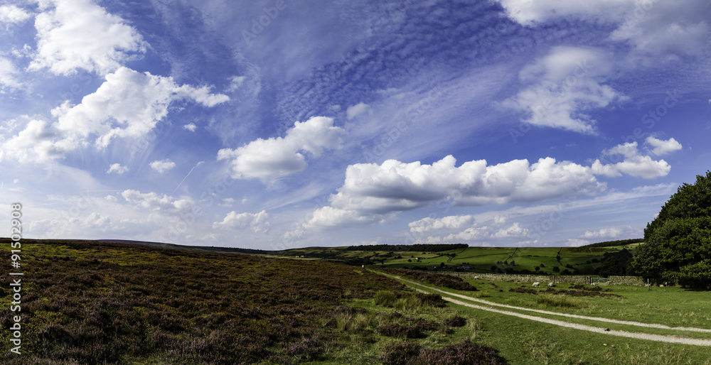 Yorkshire Moor