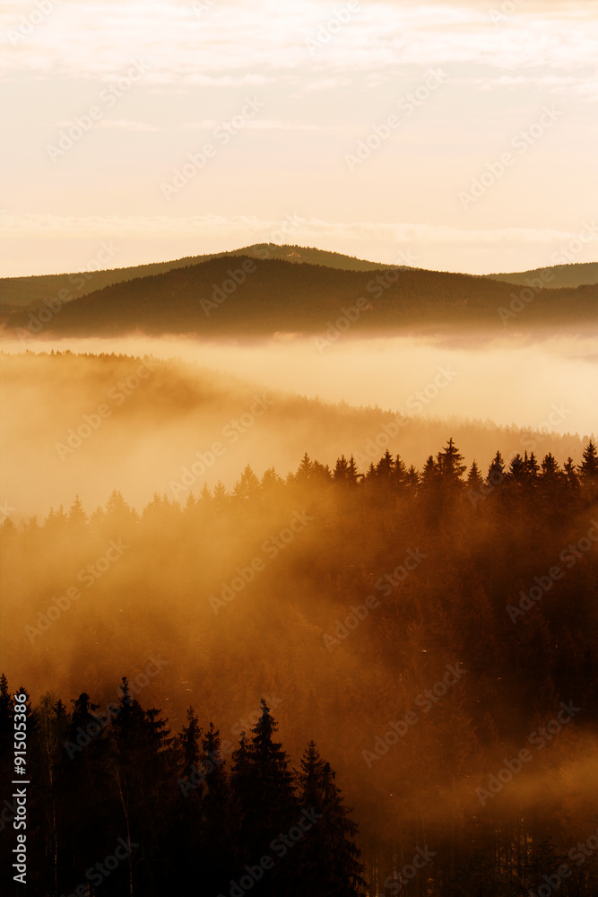 Obraz premium Herbliche Nebelschleieer