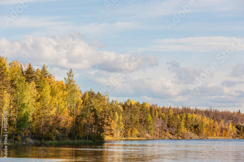 forest lake in autumn © Maslov Dmitry