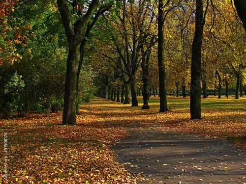 Park jesienią 