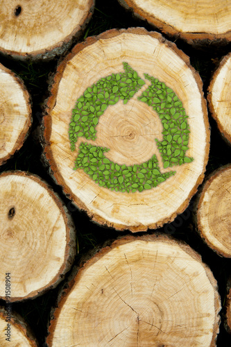 Stacked Logs Background with green plant recycle symbol