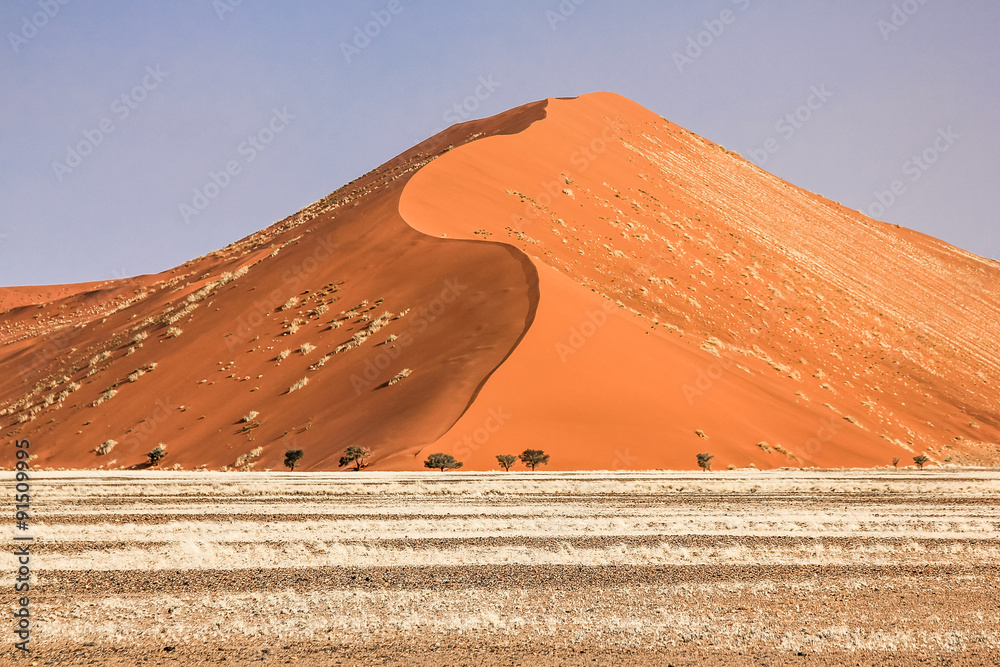 Dune desert
