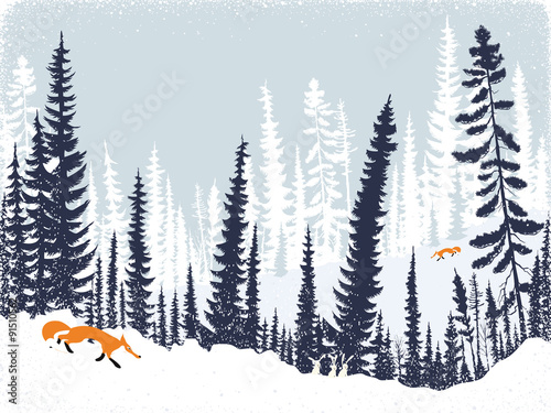 Winter landscape with silhouettes of trees and firs