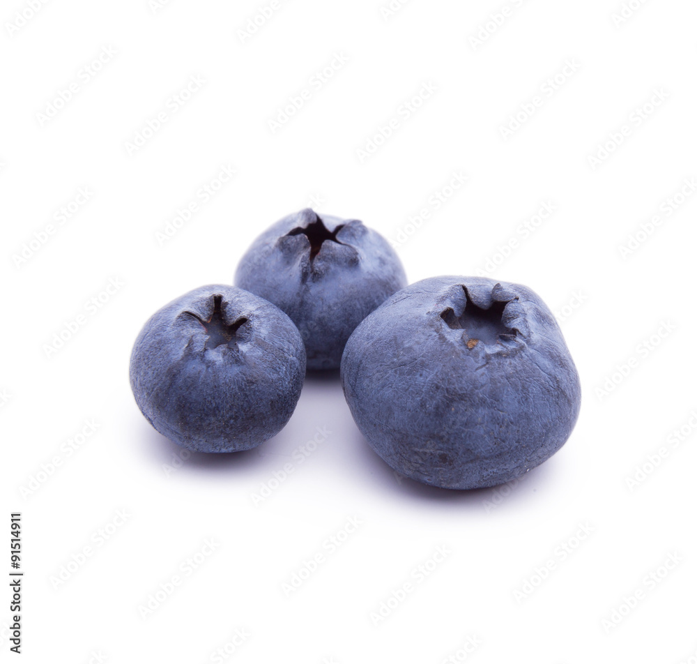 Blueberries on white background Blueberries on white background