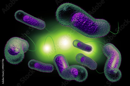Cholera Bacteria © Ezume Images