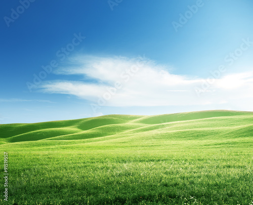 Fotografie, Obraz perfect field of spring grass