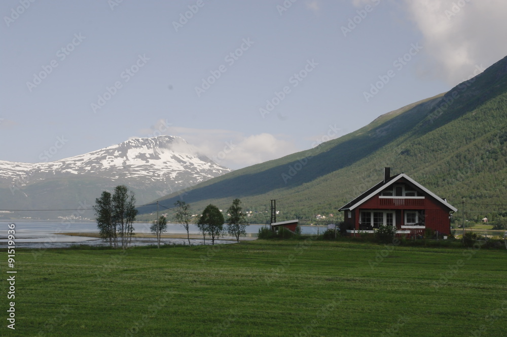 дом в зеленая долина на фоне гор в Норвегии