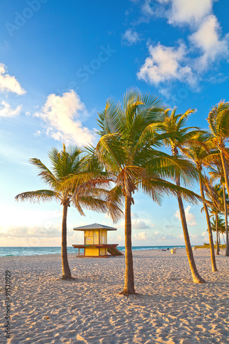 Palm trees and lifeguard house on a beautiful sunny summer afternoon in Hollywood Beach near Miami Florida with ocean and blue sky in the background © FotoMak