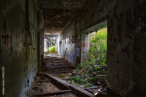 Interior of an abandoned building overgrown with greenery