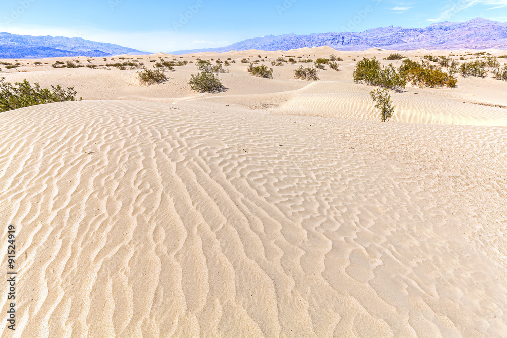 Sand dunes in Death Valley National Park, California, USA.