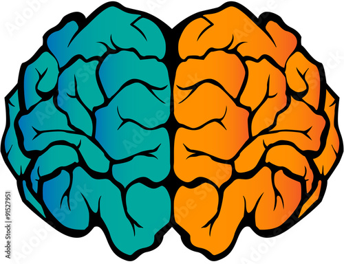Brain 1.1
