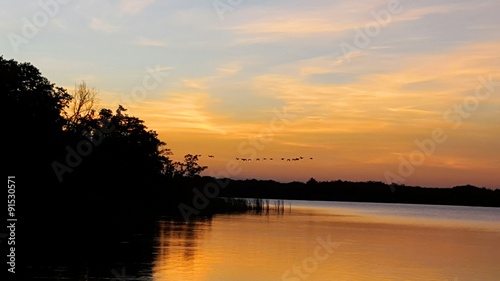 Birds flying over lake