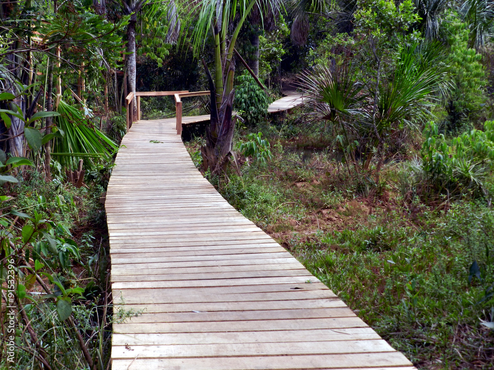 Obraz premium Wooden path