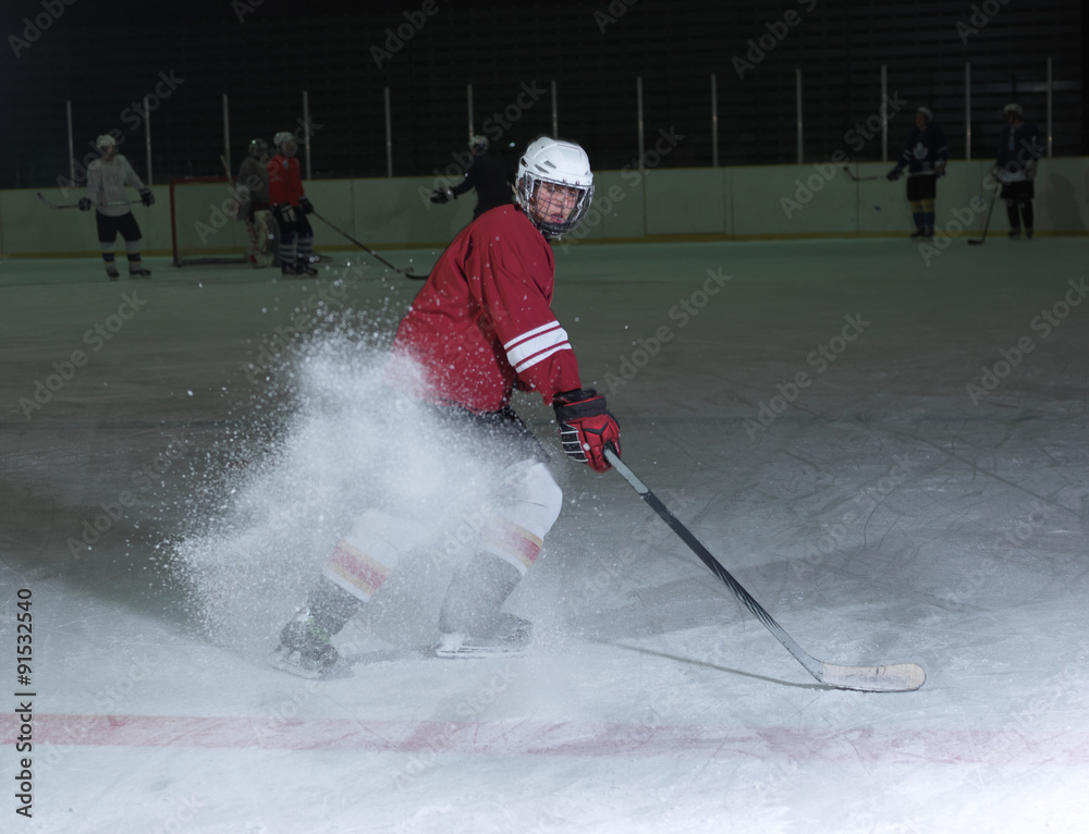 Fototapeta premium ice hockey player in action