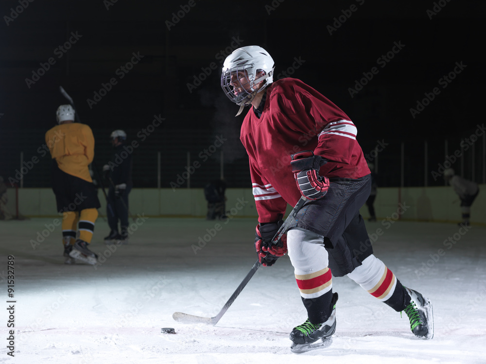 Obraz premium ice hockey player in action