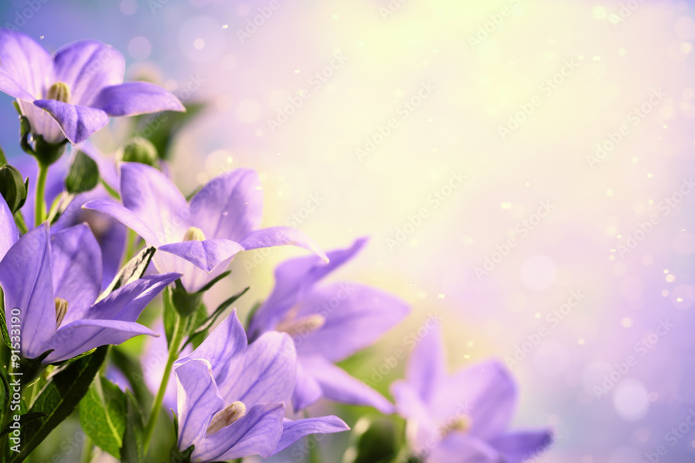 Closeup of purple flowers