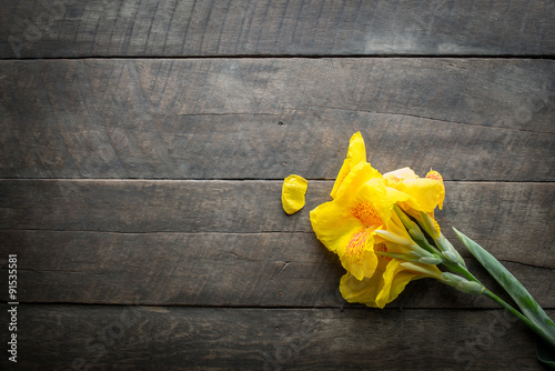 yellow flower and wood background
