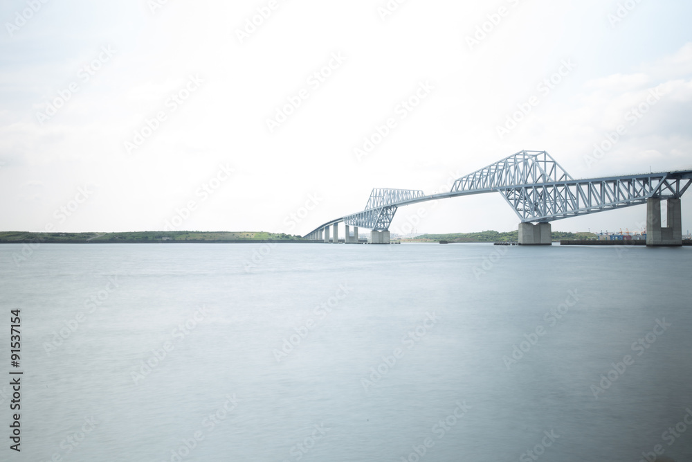 Fototapeta premium 東京ゲートブリッジ