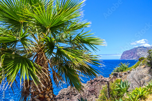 Tropical beach ocean view  Funchal  Madeira