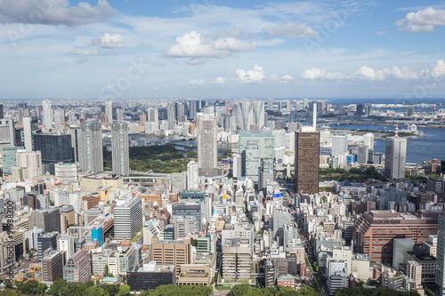 東京タワーからの眺め（東京湾方面） © Yoshinori Okada