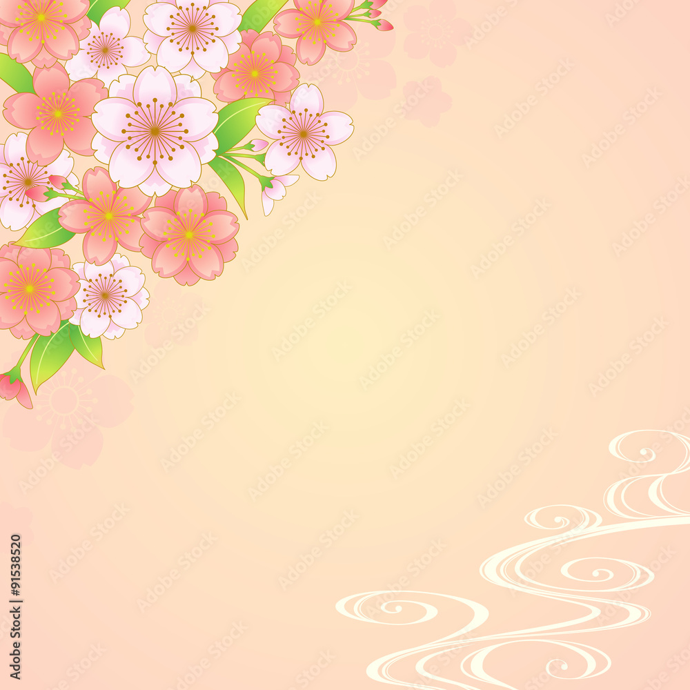 Fototapeta premium 桜