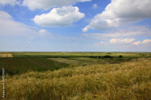 Richesse naturelle: champs de céréales.