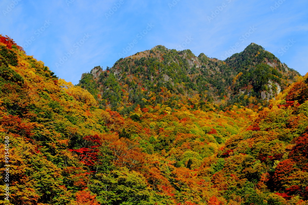 西沢渓谷から見る秋の鶏冠山