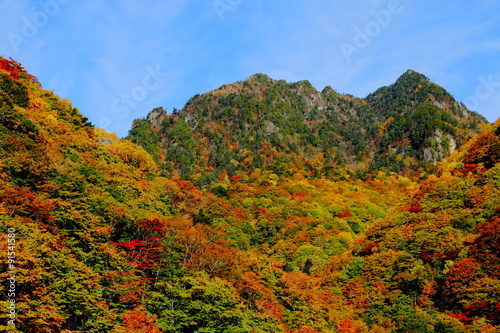西沢渓谷から見る秋の鶏冠山 © 佐野