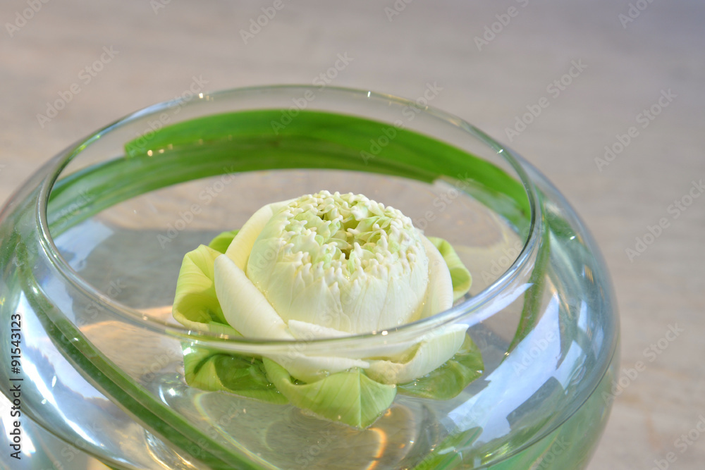 Modern lotus flower arrangement, Thailand Modern lotus flower arrangement, Thailand