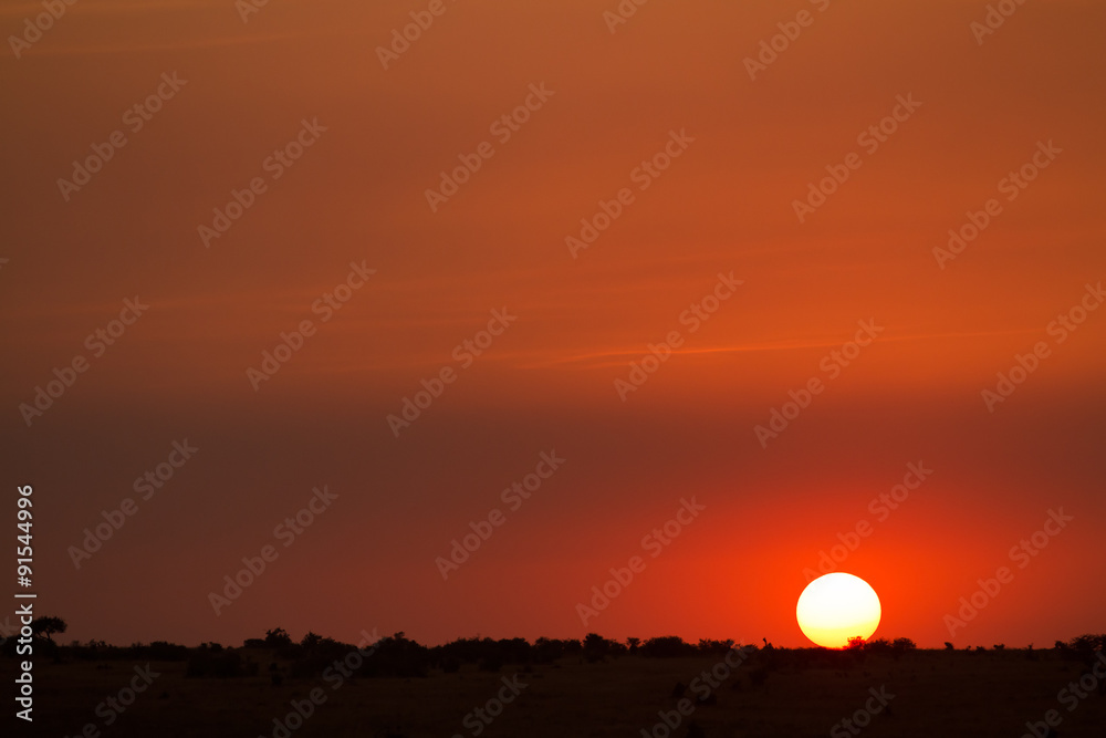 Naklejka premium masai mara sunset in kenya