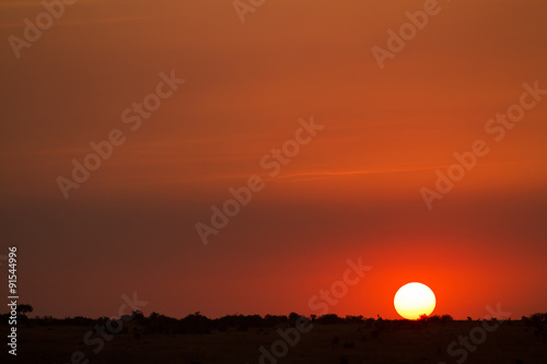 masai mara sunset in kenya