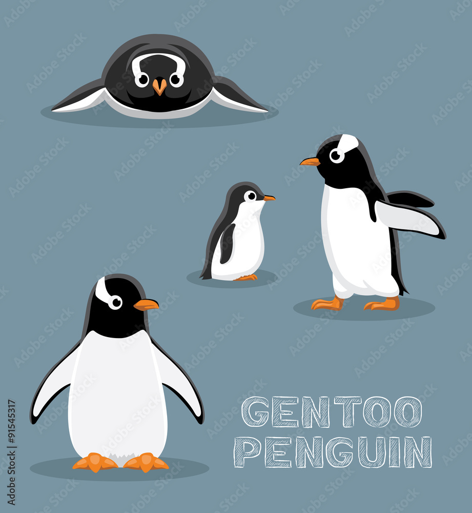 Fototapeta premium Gentoo Penguin Cartoon Vector Illustration