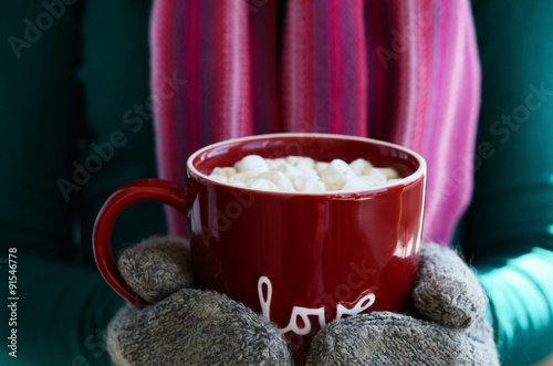 Wool mittens holding cup of hot chocolate with marshmallow