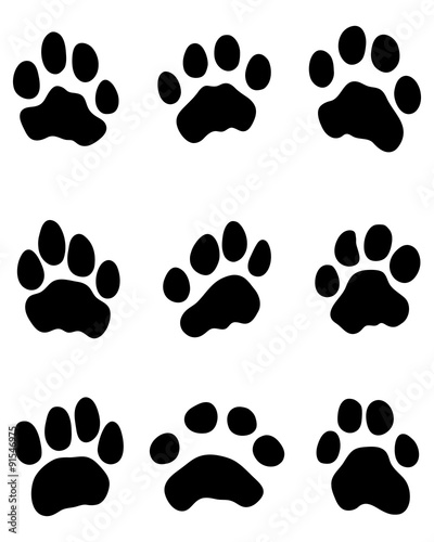 Black print of tiger paw, vector