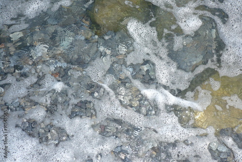 Obraz na płótnie acqua trasparente