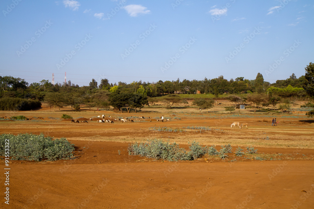 karatu countryside