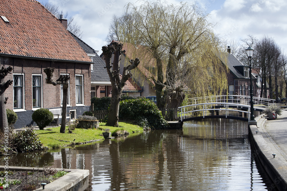 Obraz premium Village view