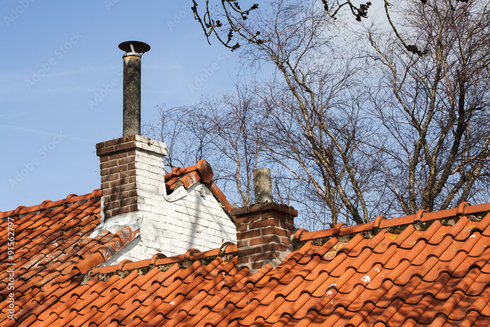 Chimneys on a red roof