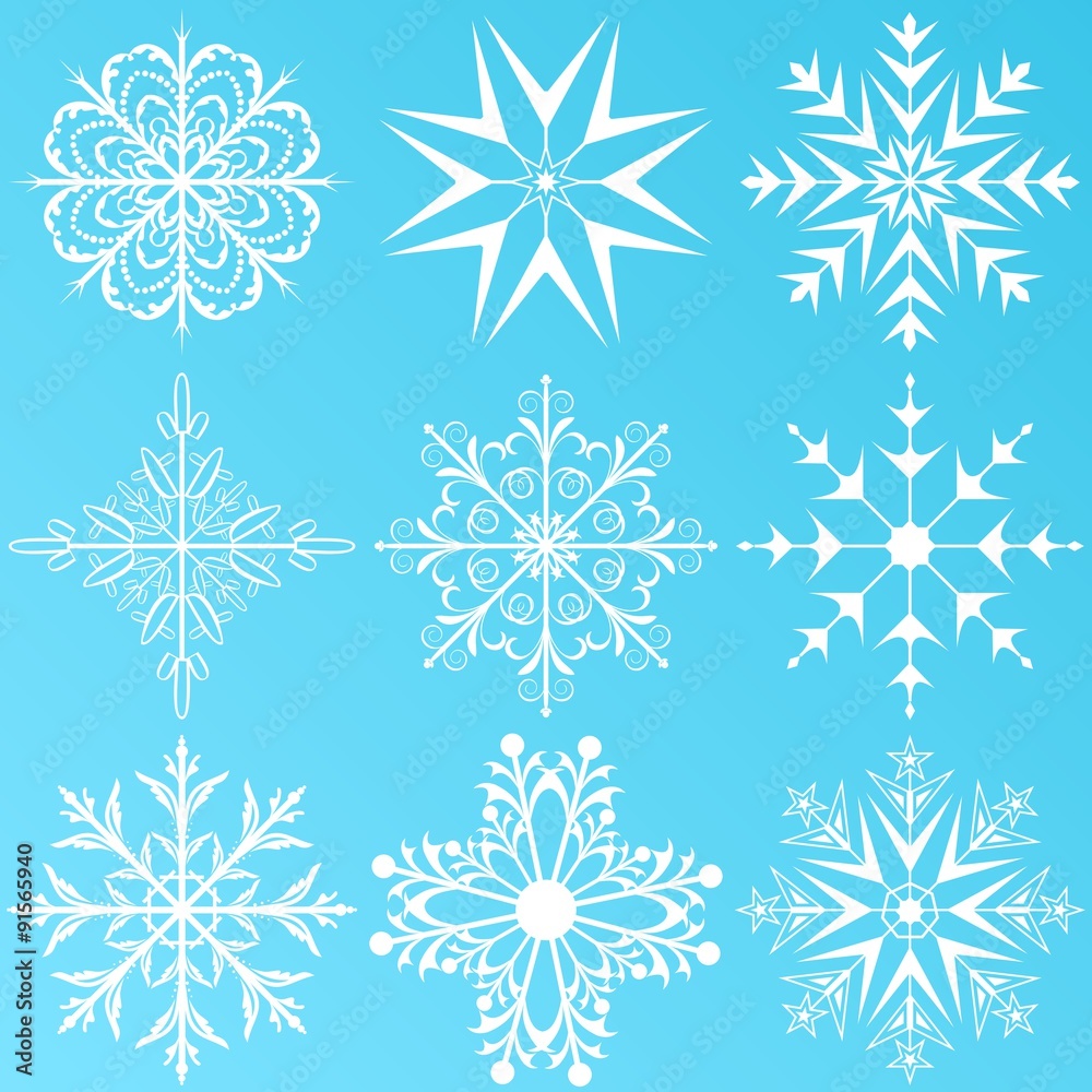 Fototapeta premium set variation snowflakes isolated