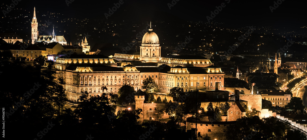 Buda castle at night