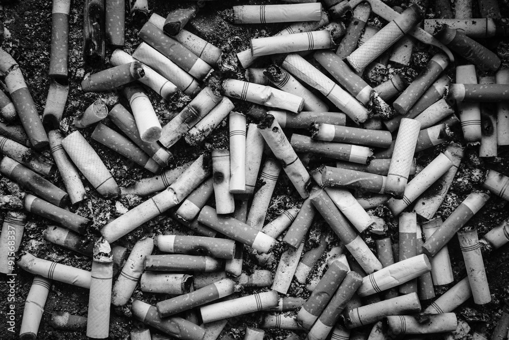 Black and white many dirty cigarettes butts background Black and white many dirty cigarettes butts background