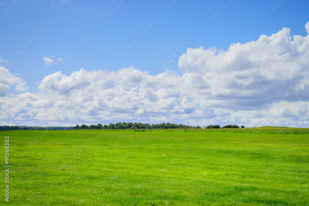 Green field and blue sky with cloud background