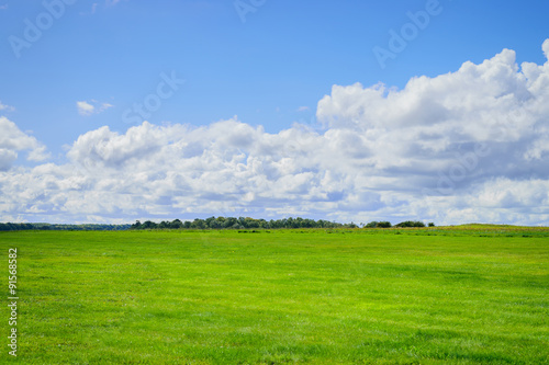 Green field and blue sky with cloud background